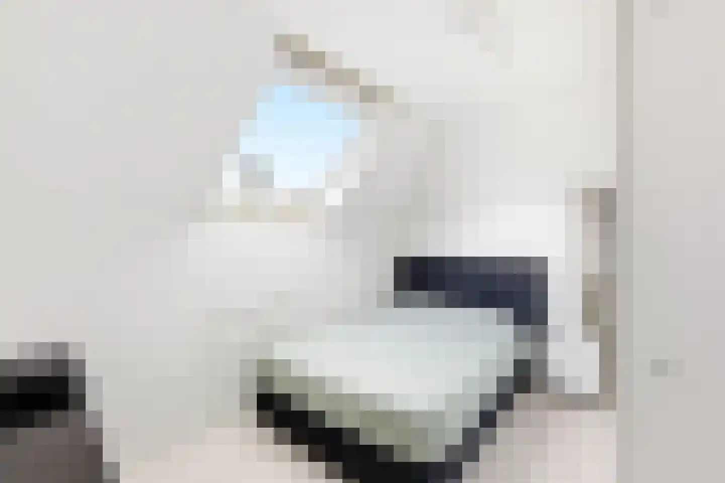 Absdaalseweg 54 Hulst thumbnail 36