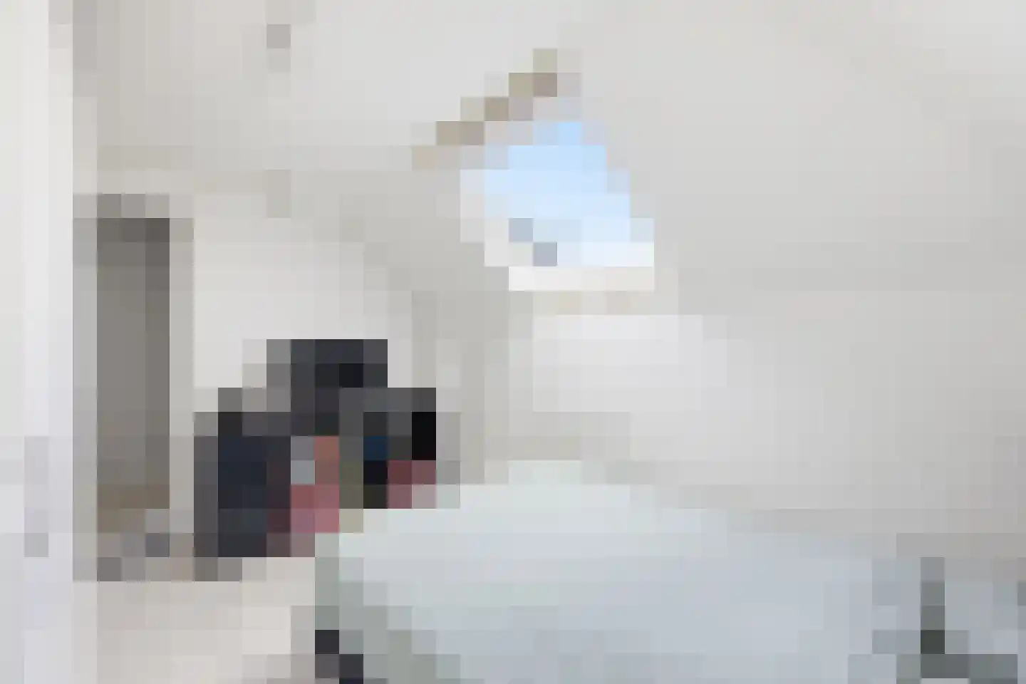 Absdaalseweg 54 Hulst thumbnail 37