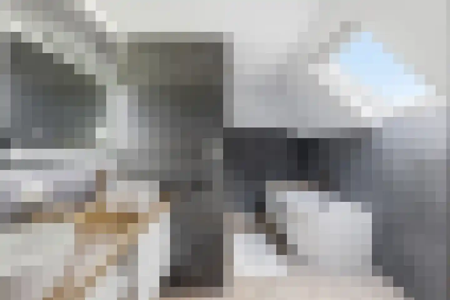 Absdaalseweg 54 Hulst thumbnail 38