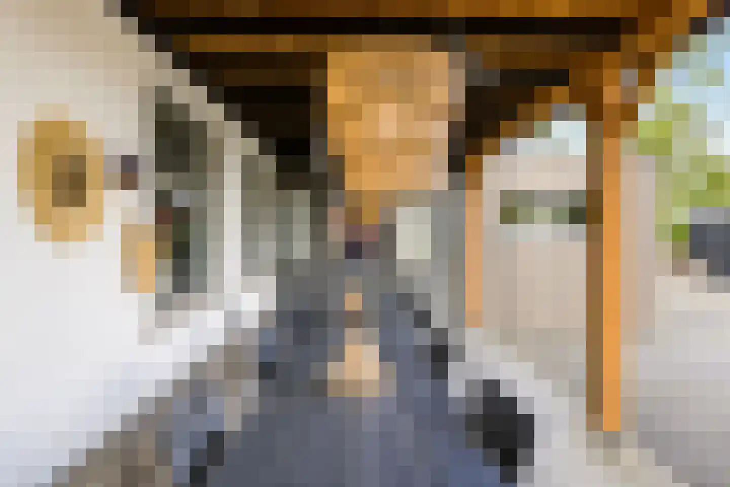 Absdaalseweg 54 Hulst thumbnail 4