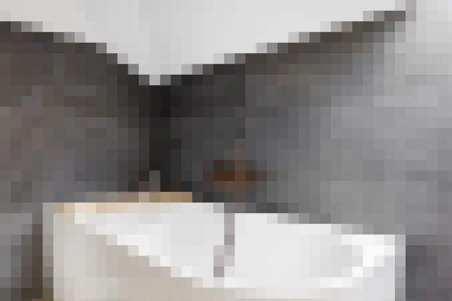 Absdaalseweg 54 Hulst thumbnail 40