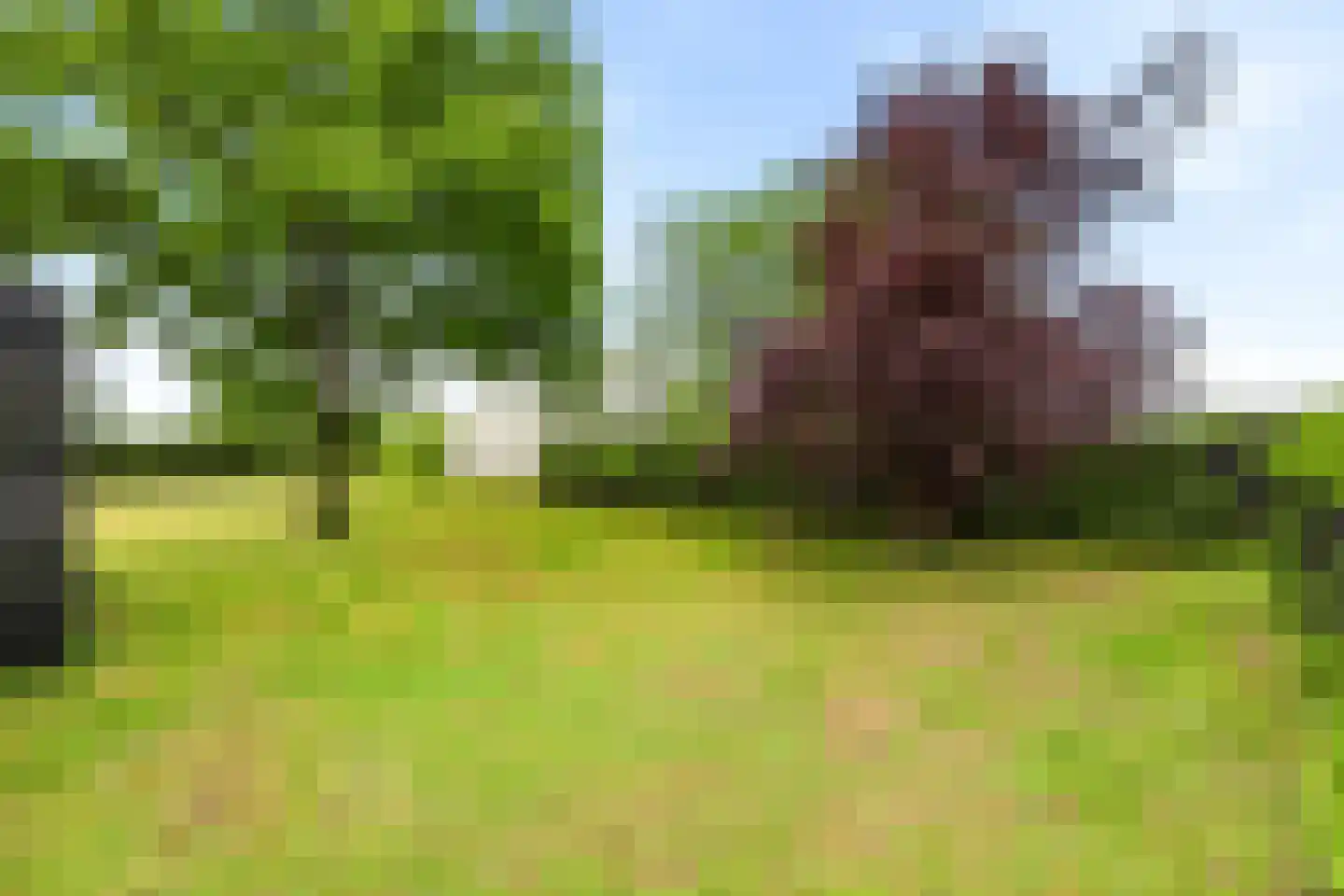 Absdaalseweg 54 Hulst thumbnail 5