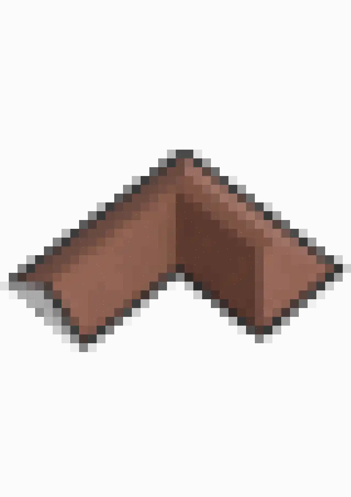 Absdaalseweg 54 Hulst thumbnail 65