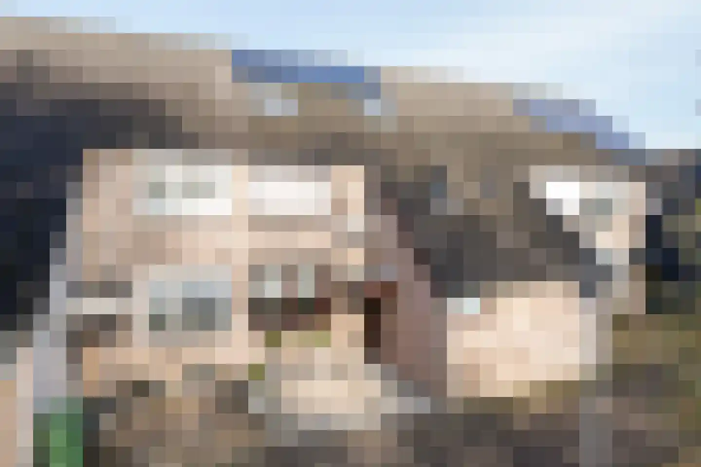 Abshove 16 Weert foto 3