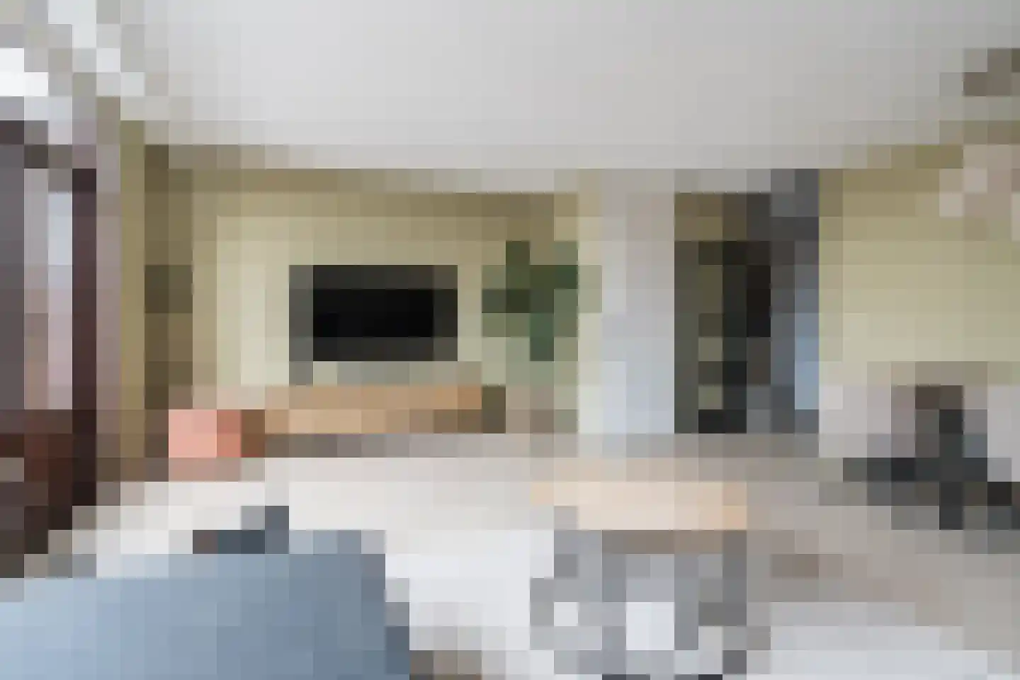 Abshove 16 Weert thumbnail 6