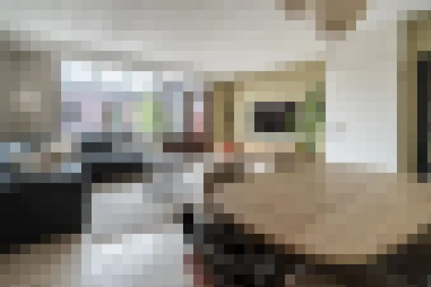 Abshove 16 Weert thumbnail 8