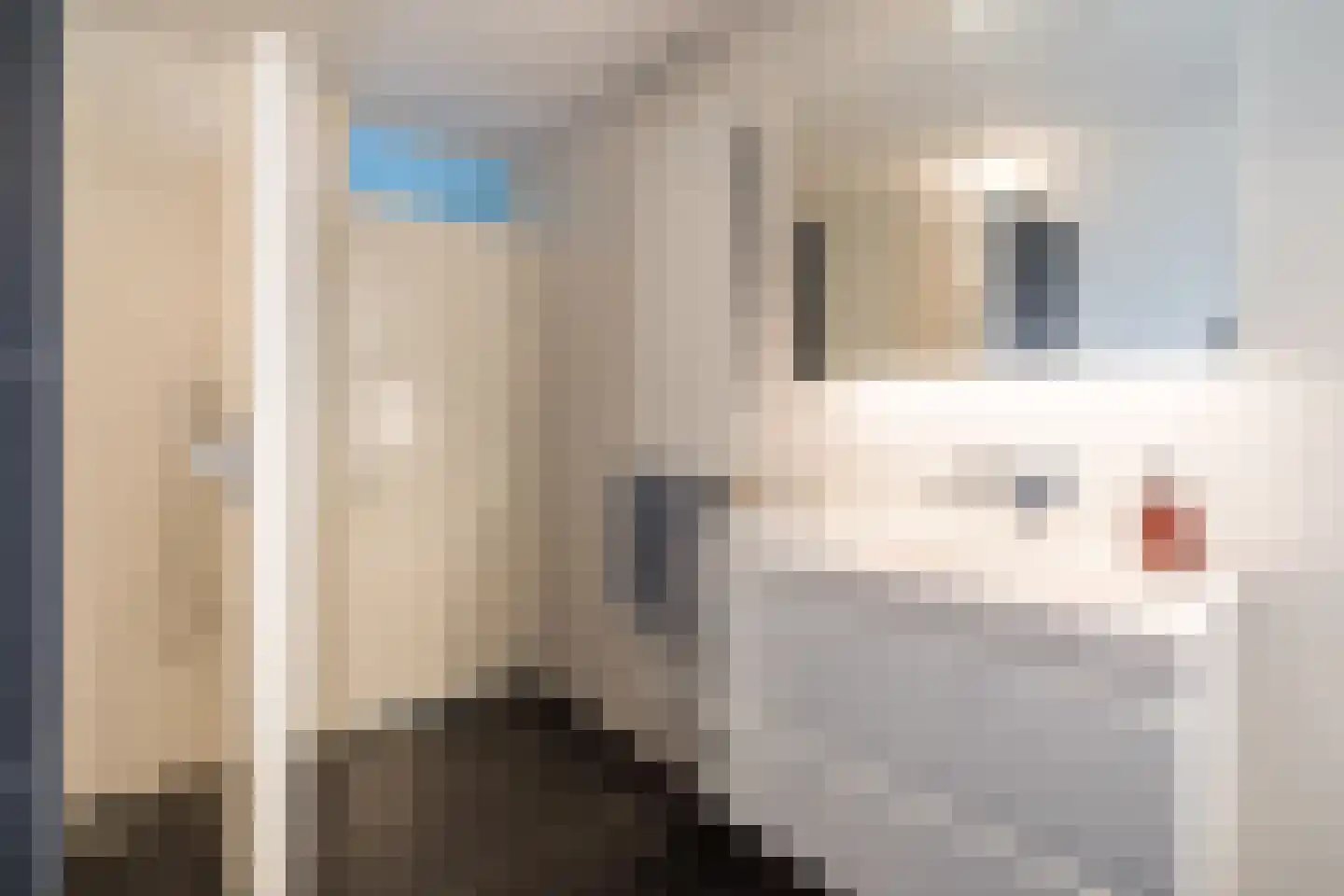 Abshove 2 Weert thumbnail 28