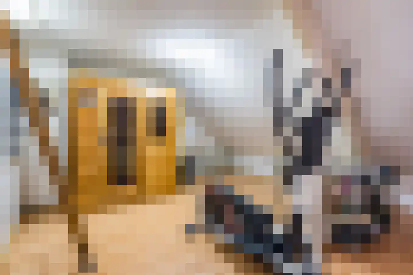Abshove 2 Weert thumbnail 32