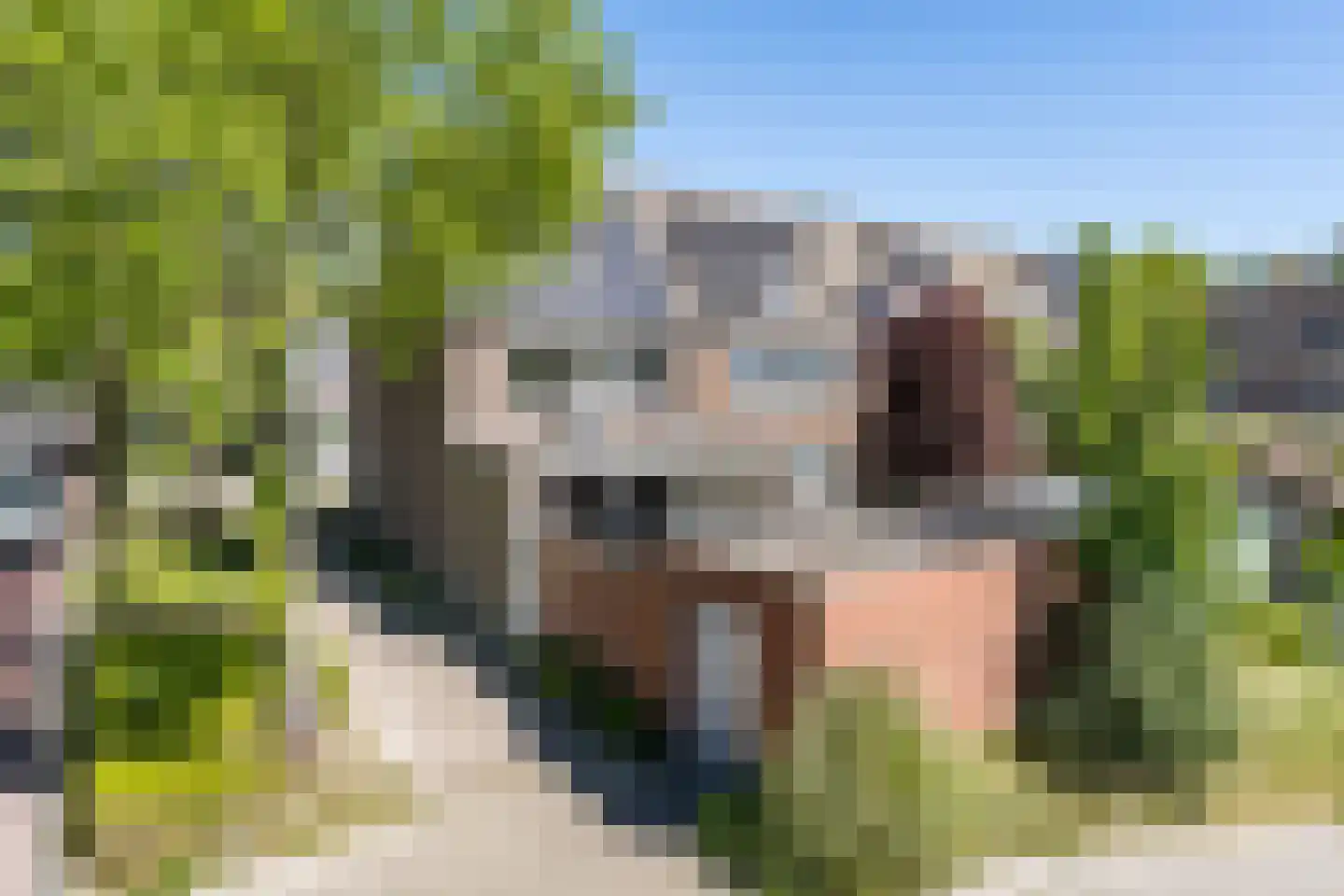 Abshove 2 Weert thumbnail 40