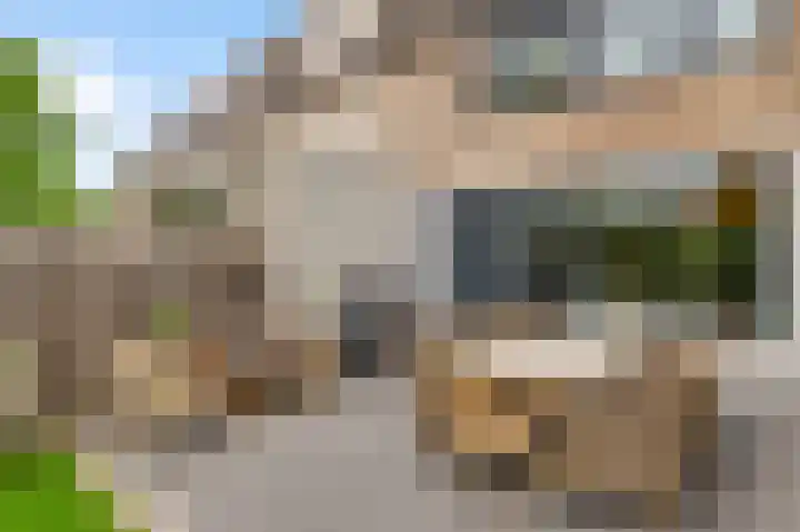 Abshove 28 Weert thumbnail 32