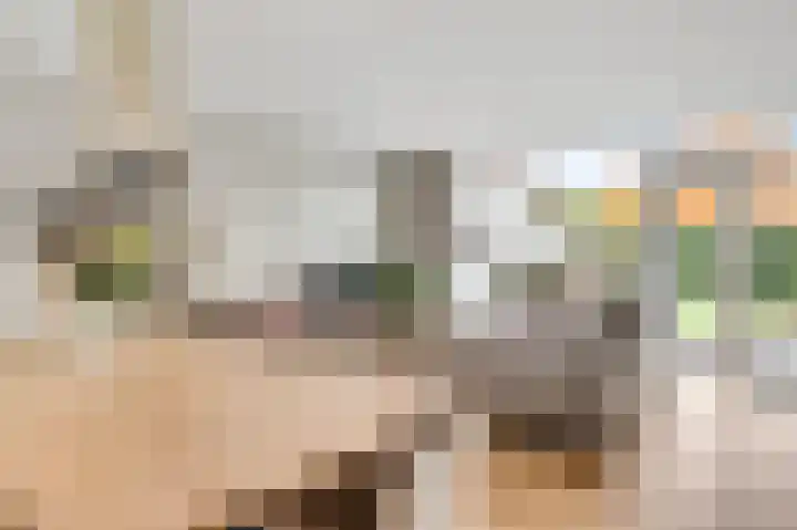 Abshove 28 Weert thumbnail 8