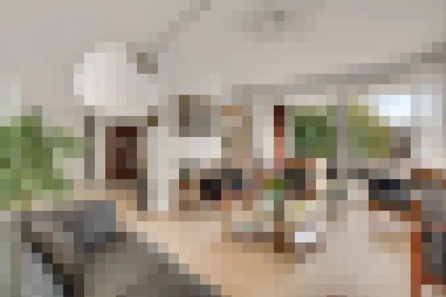 Abshoven 29 5 Munstergeleen thumbnail 16