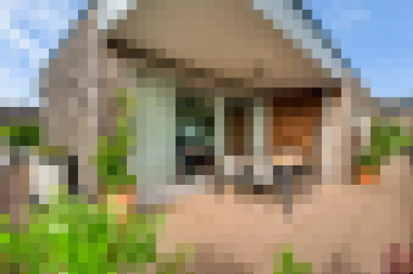 Abshoven 29 5 Munstergeleen thumbnail 27