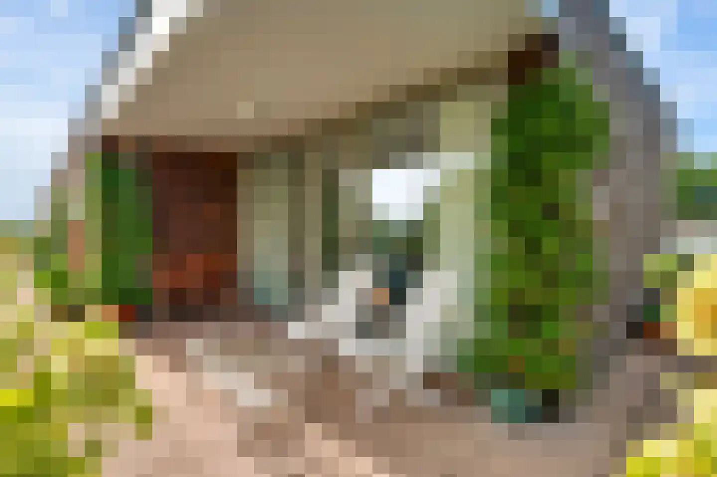 Abshoven 29 5 Munstergeleen thumbnail 29