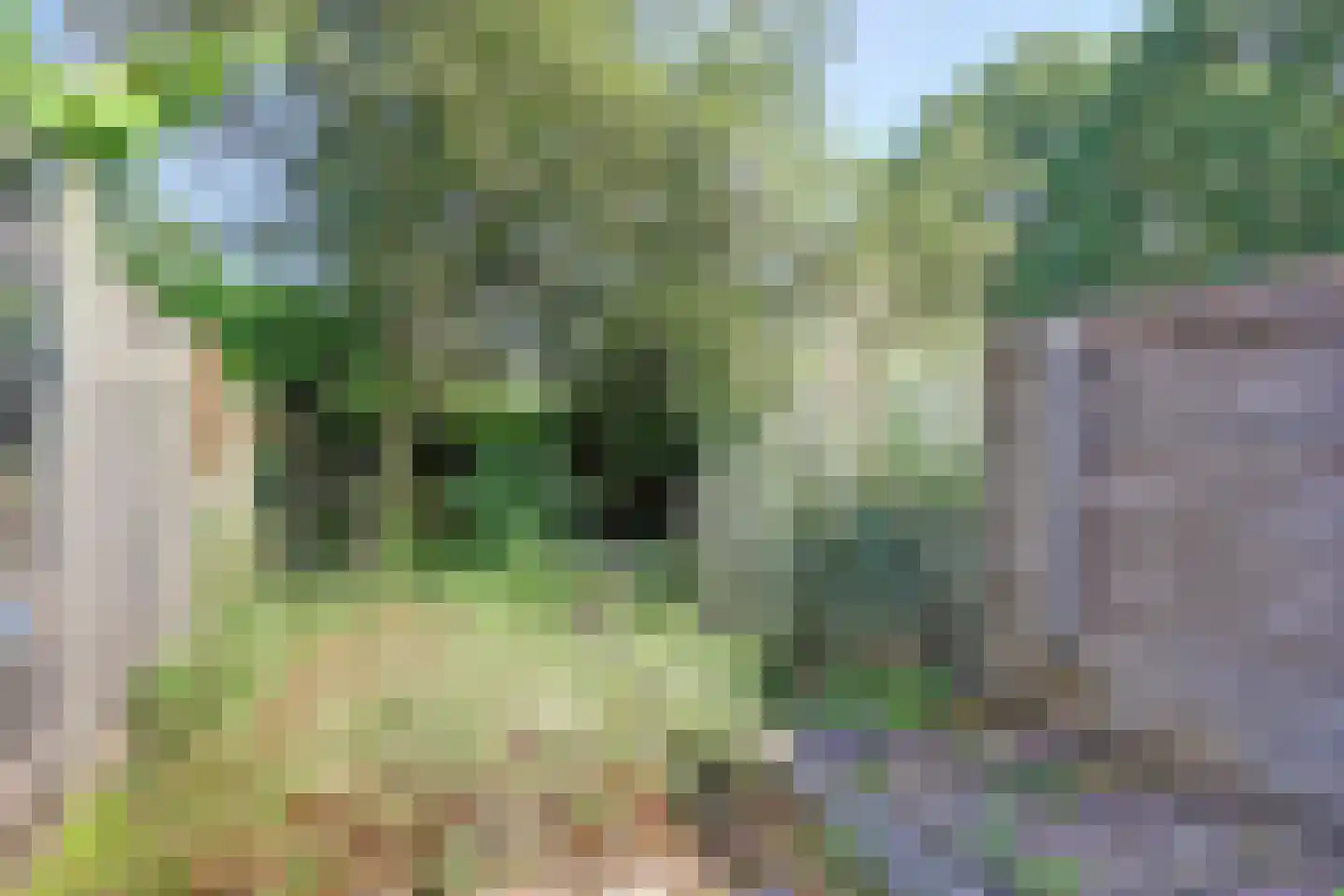 Abstederdijk 104 Utrecht thumbnail 20