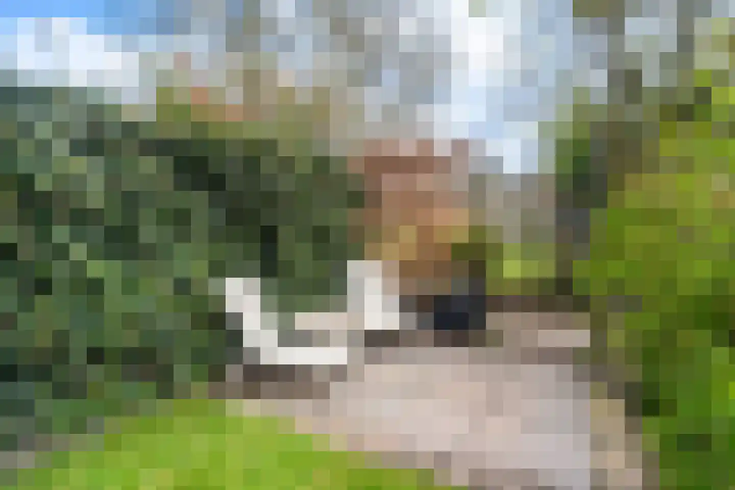 Abstederdijk 117 Utrecht thumbnail 29