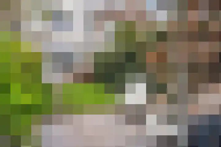 Abstederdijk 117 Utrecht thumbnail 30