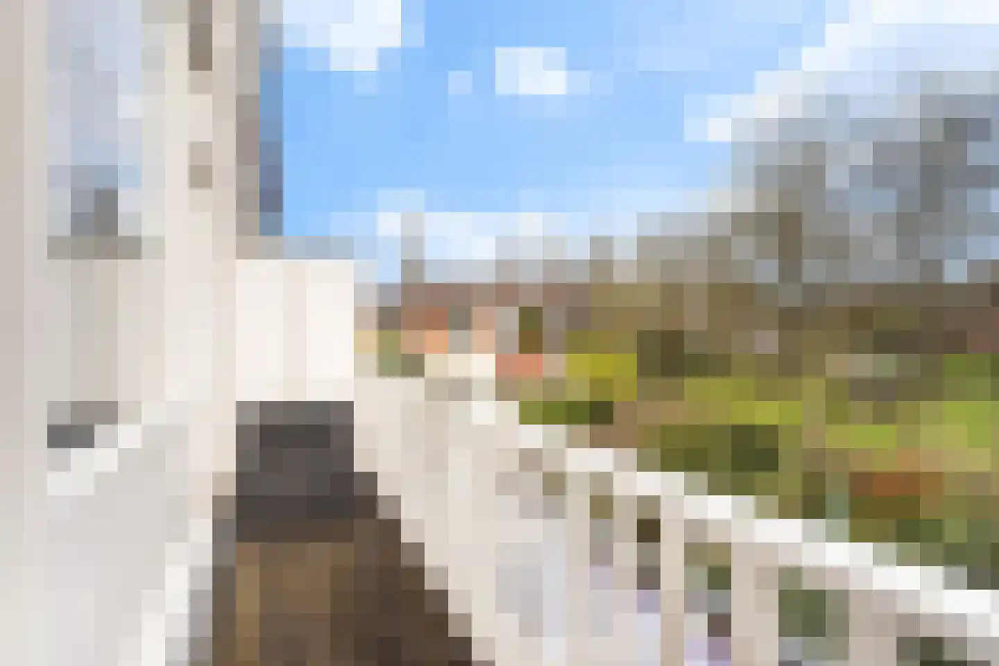 Abstederdijk 117 Utrecht thumbnail 34