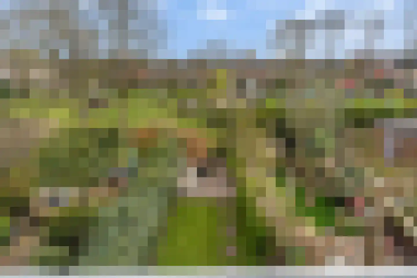 Abstederdijk 117 Utrecht thumbnail 35