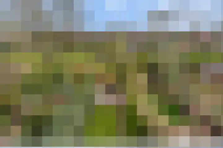 Abstederdijk 117 Utrecht thumbnail 35