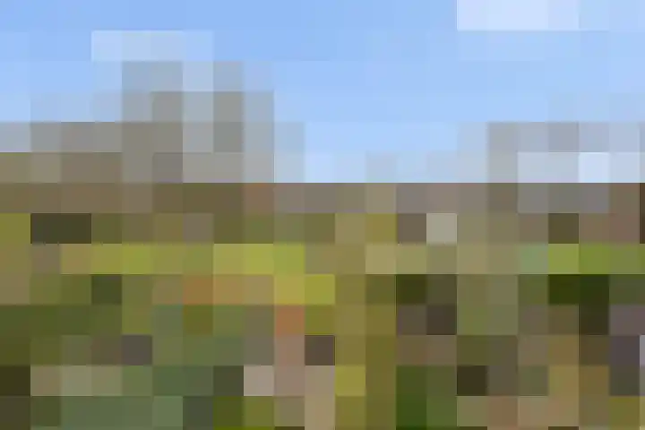 Abstederdijk 117 Utrecht thumbnail 36