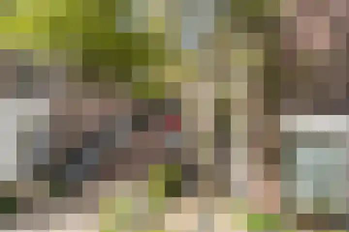 Abstederdijk 117 Utrecht thumbnail 39