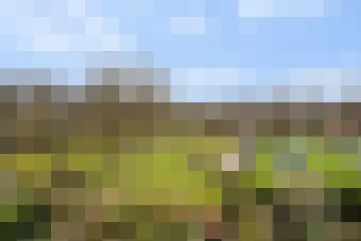 Abstederdijk 117 Utrecht thumbnail 52