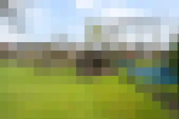 Abstederdijk 117 Utrecht thumbnail 53