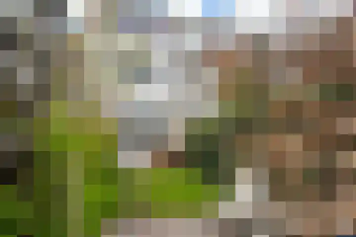 Abstederdijk 117 Utrecht thumbnail 54