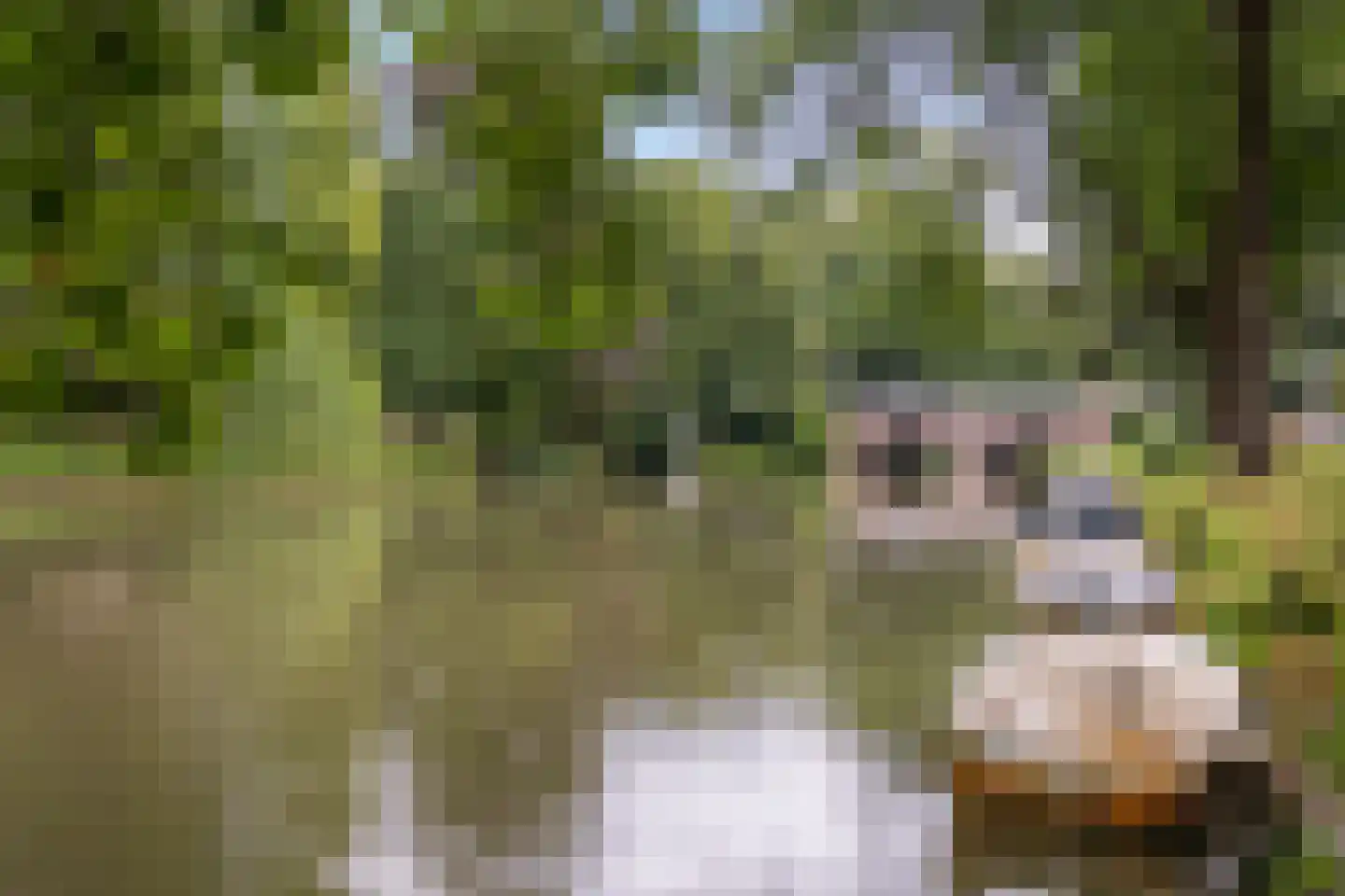 Abstederdijk 117 Utrecht thumbnail 55