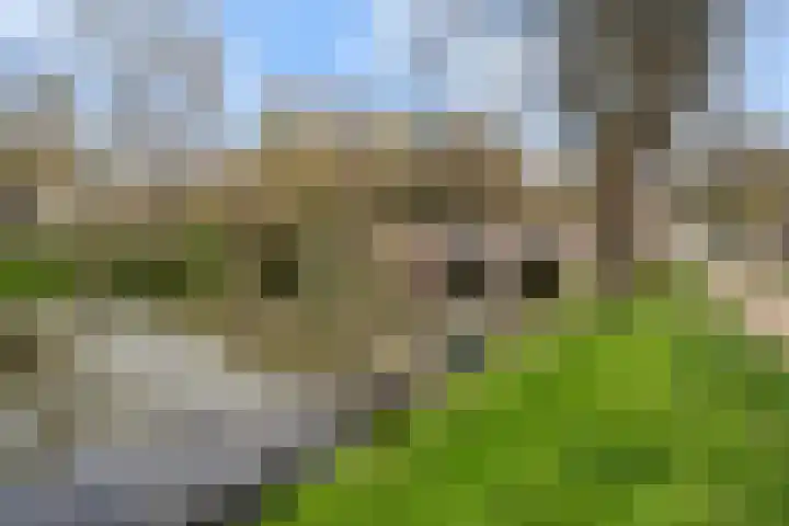 Abstederdijk 117 Utrecht thumbnail 56