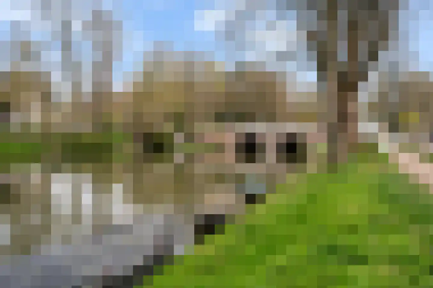 Abstederdijk 117 Utrecht thumbnail 56
