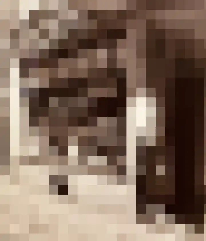 Abstederdijk 117 Utrecht thumbnail 9