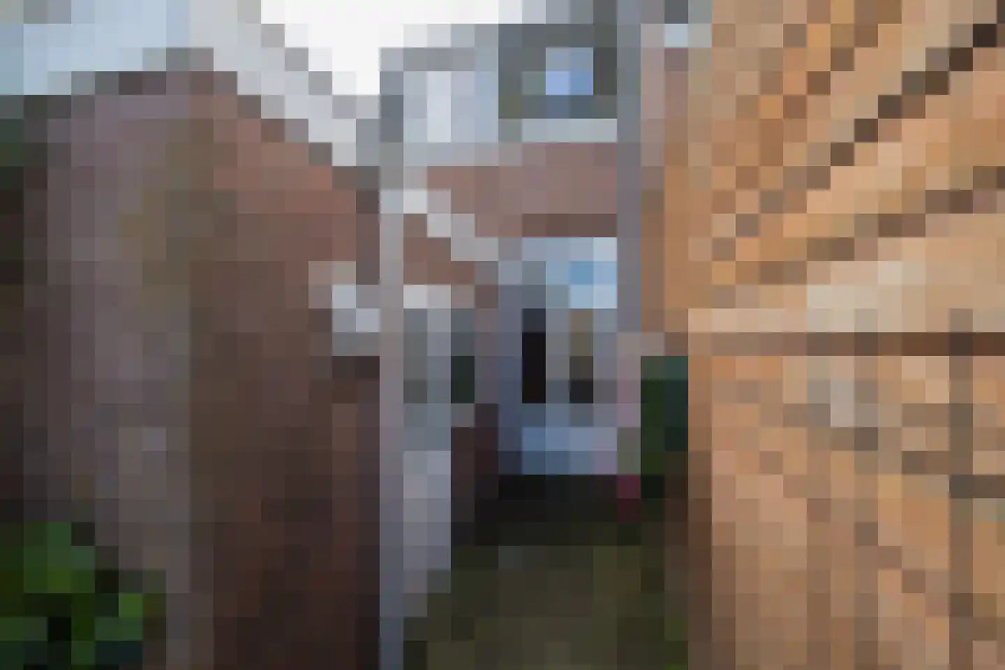 Abstederdijk 130 Utrecht thumbnail 28
