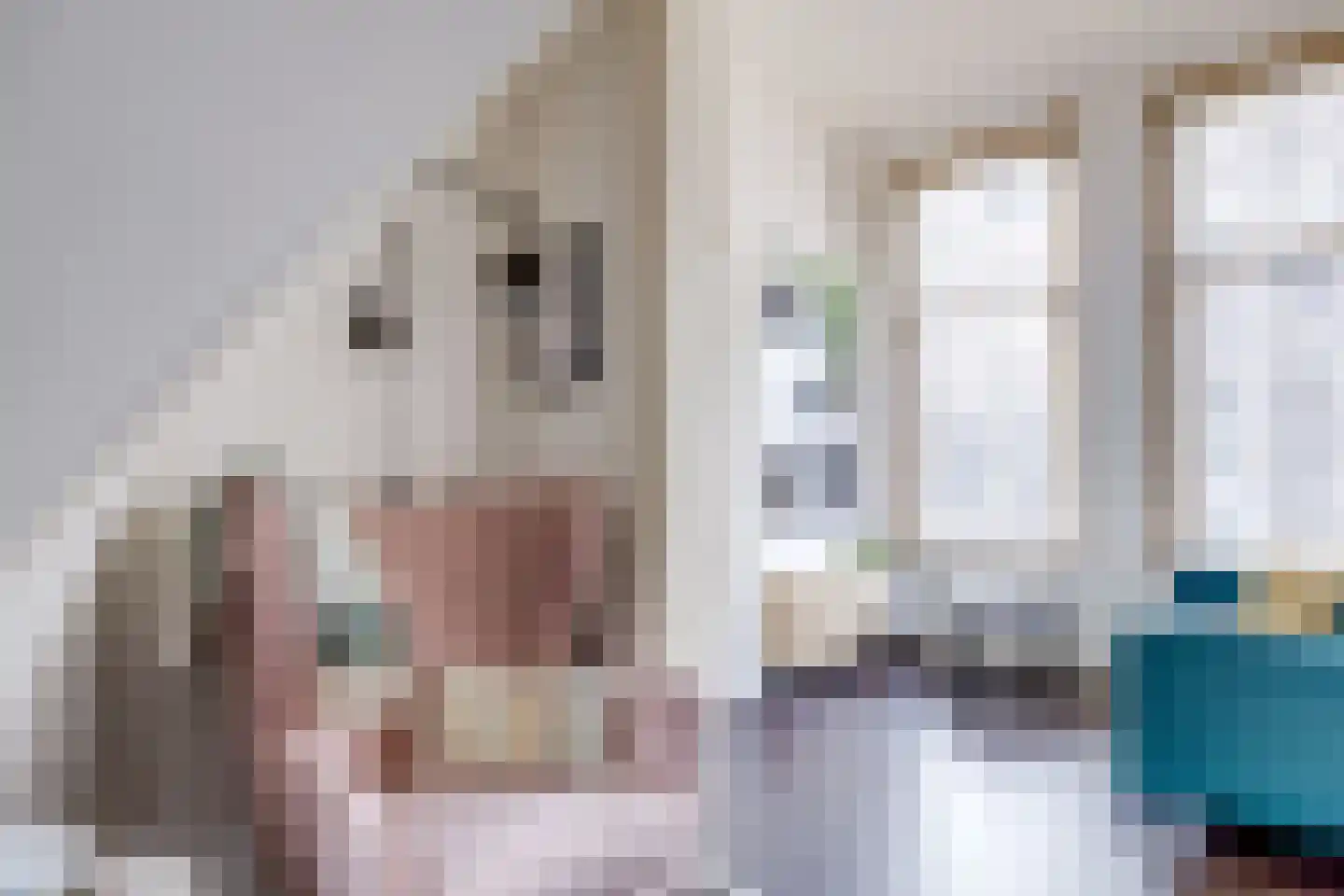 Abstederdijk 130 Utrecht thumbnail 8