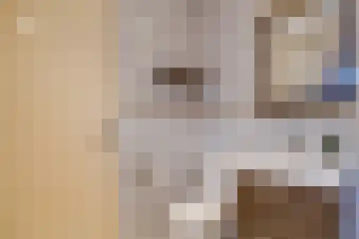 Abstederdijk 133 Utrecht thumbnail 29