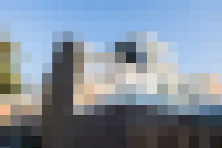 Abstederdijk 133 Utrecht thumbnail 41