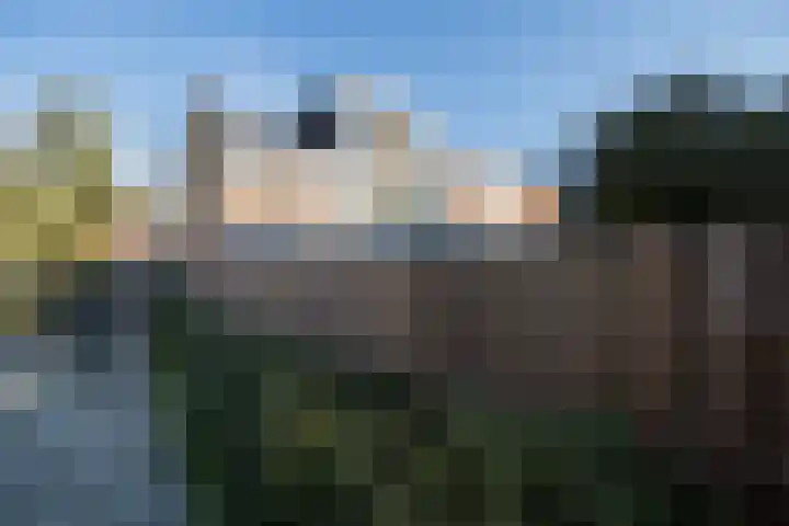 Abstederdijk 133 Utrecht thumbnail 43