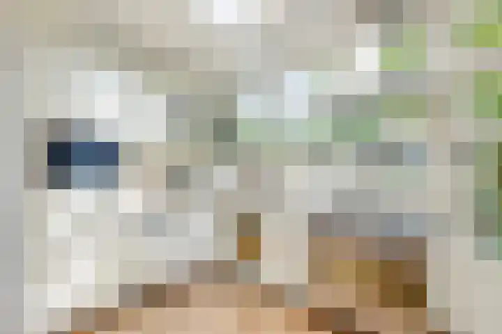 Abstederdijk 17 Utrecht thumbnail 13