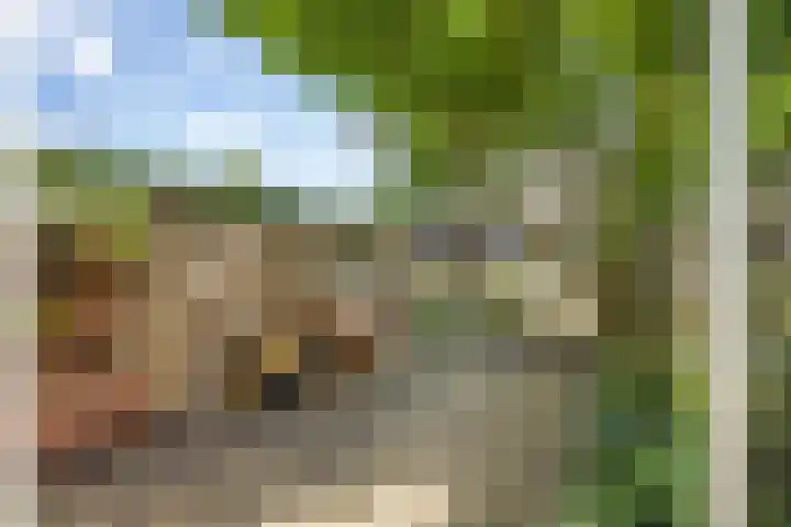 Abstederdijk 17 Utrecht thumbnail 15