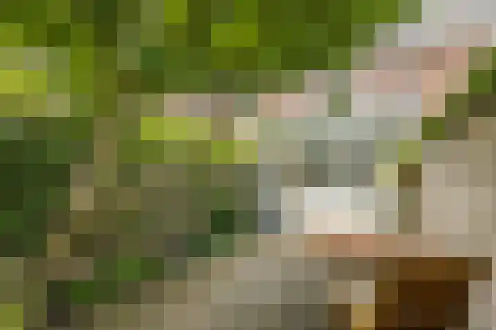 Abstederdijk 17 Utrecht thumbnail 16