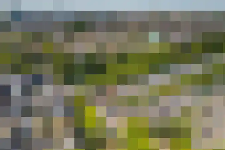 Abstederdijk 17 Utrecht thumbnail 34