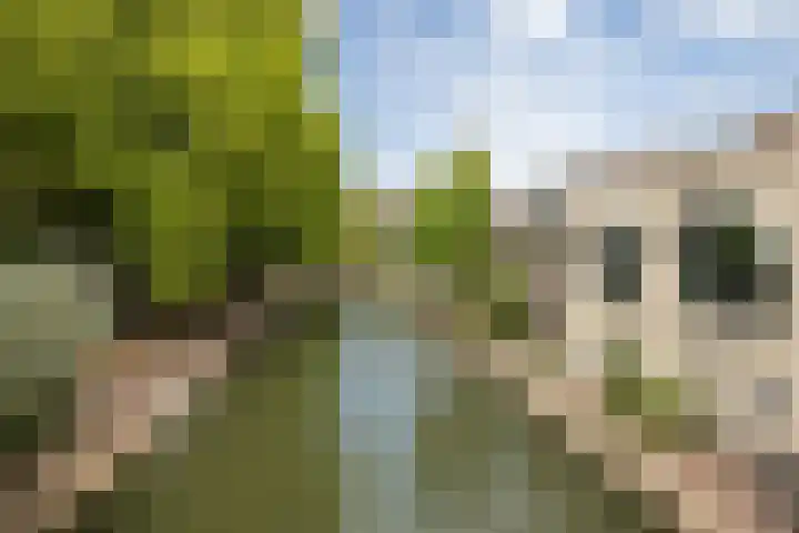 Abstederdijk 17 Utrecht thumbnail 37