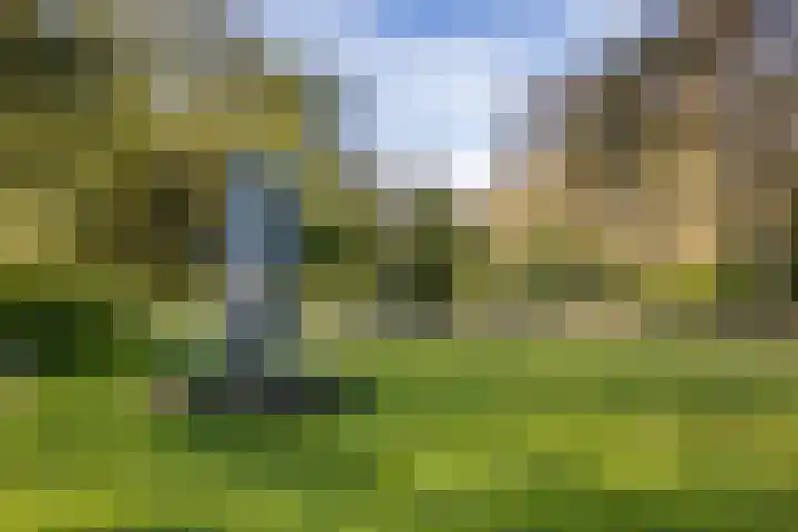 Abstederdijk 17 Utrecht thumbnail 39