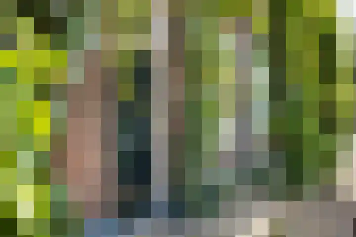 Abstederdijk 17 Utrecht thumbnail 4