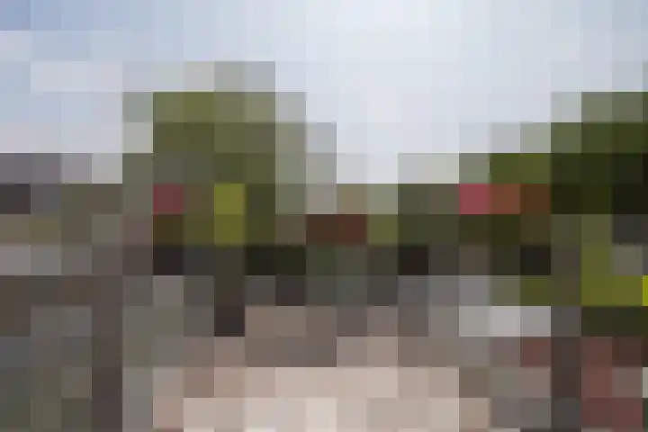 Abstederdijk 207 BS Utrecht thumbnail 17