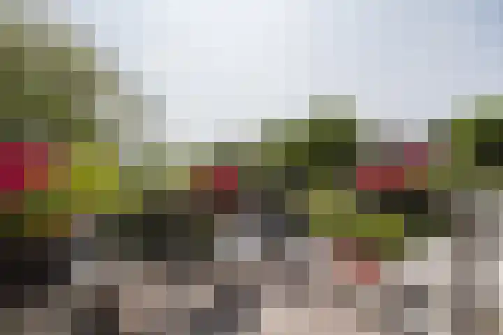 Abstederdijk 207 BS Utrecht thumbnail 18