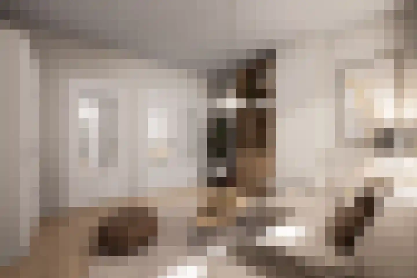 Abstederdijk 207 Utrecht thumbnail 10