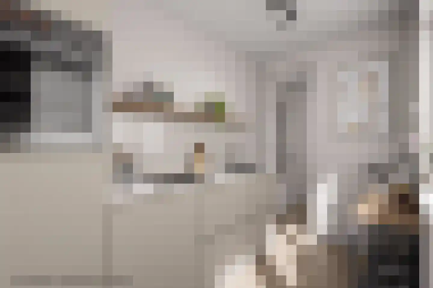 Abstederdijk 207 Utrecht thumbnail 13