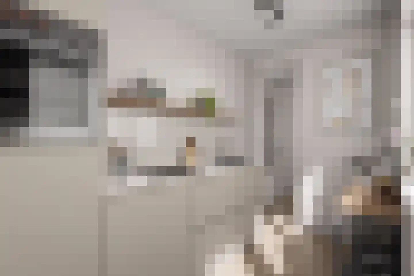 Abstederdijk 207 Utrecht thumbnail 14